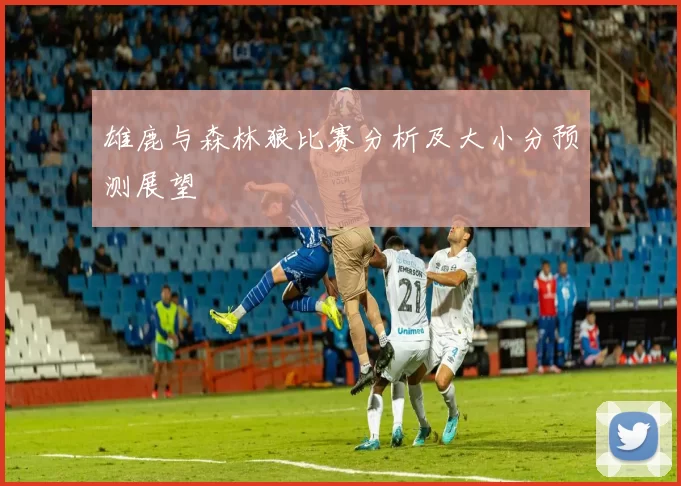 雄鹿与森林狼比赛分析及大小分预测展望